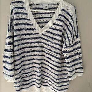 Chic Navy and White V-Neck Sweater